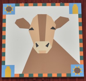 Brinker quilt-6