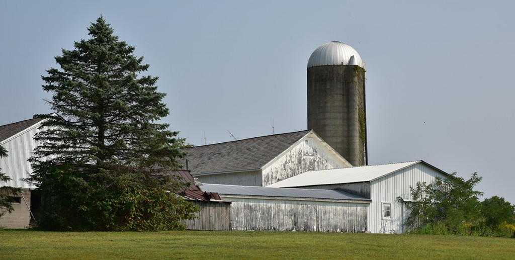 Tabor farm