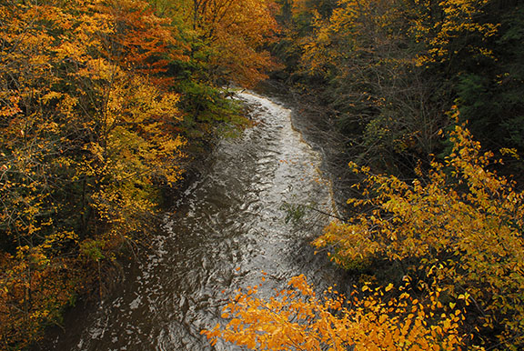 Rock Creek as it passes under WRGT trestle.