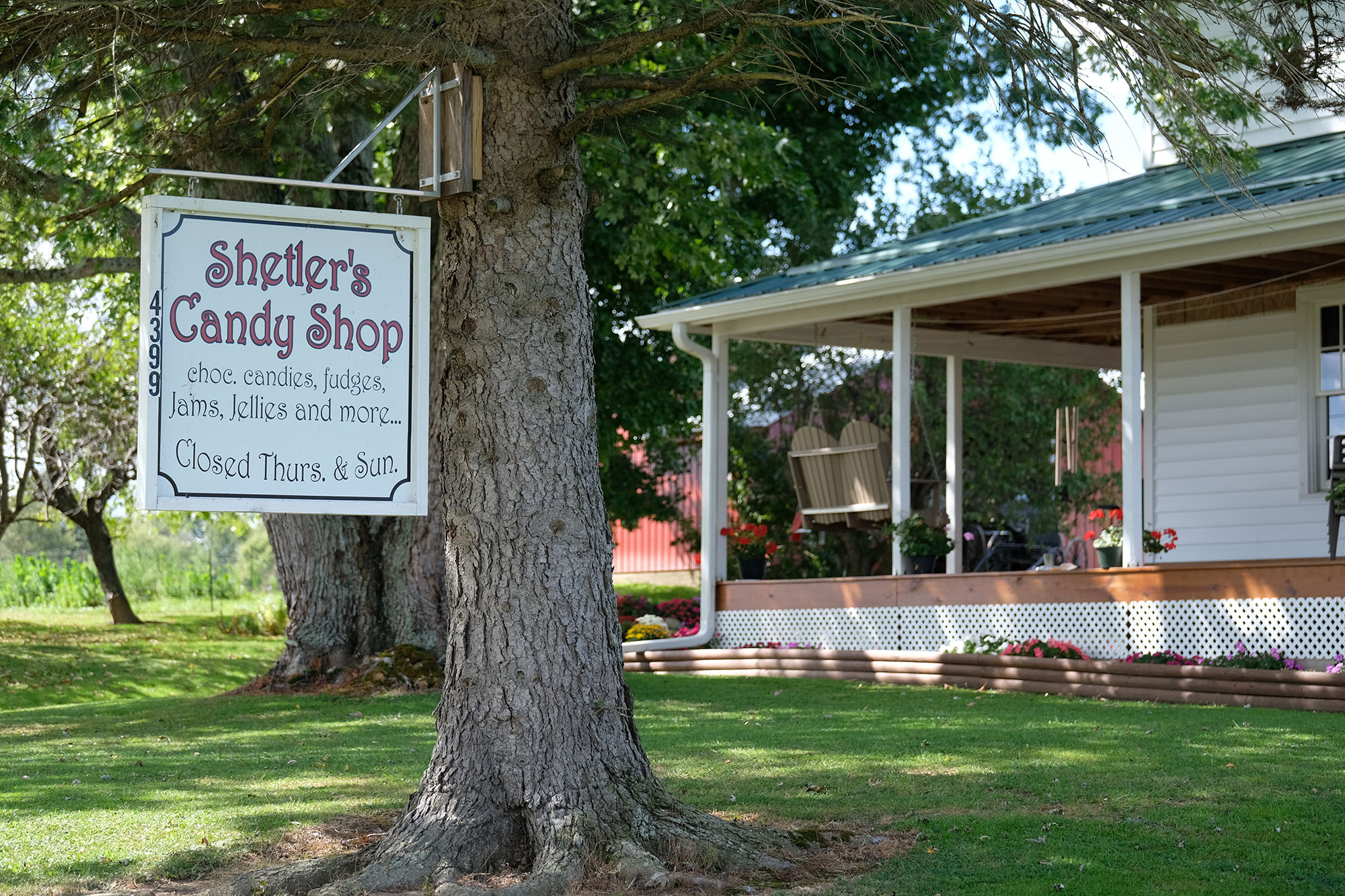 Candy shop sign